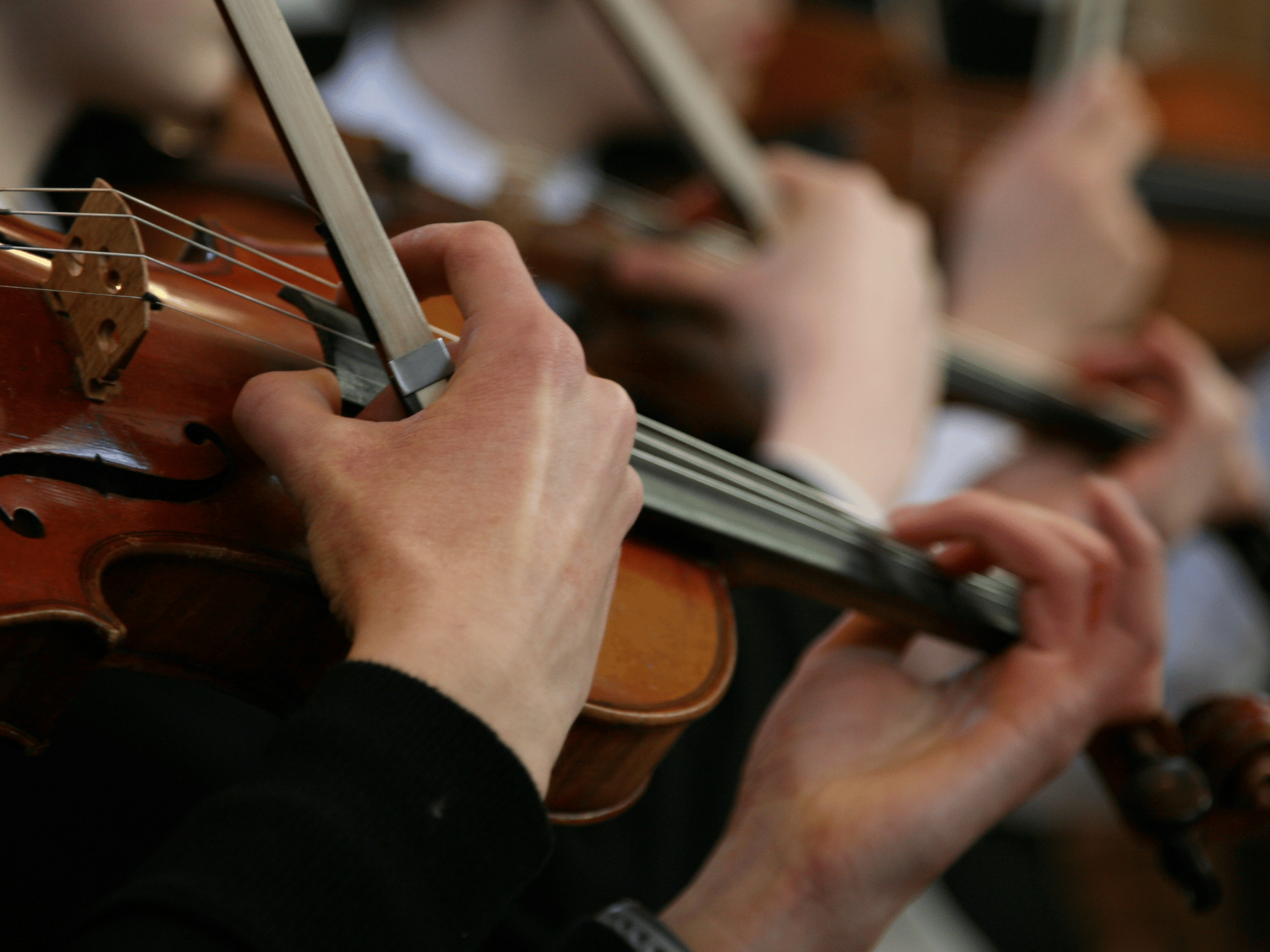 Close shot of two violins