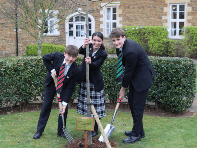 Jubilee tree planting for web