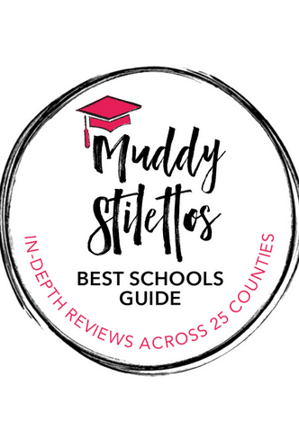 Muddy Stilettos logo