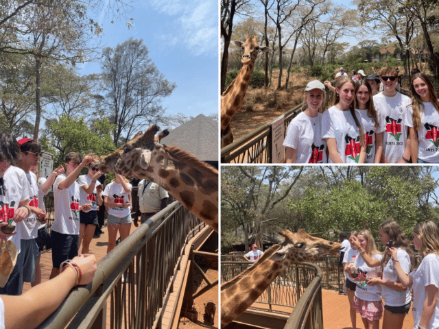 Kenya trip giraffe centre pupils petting giraffes
