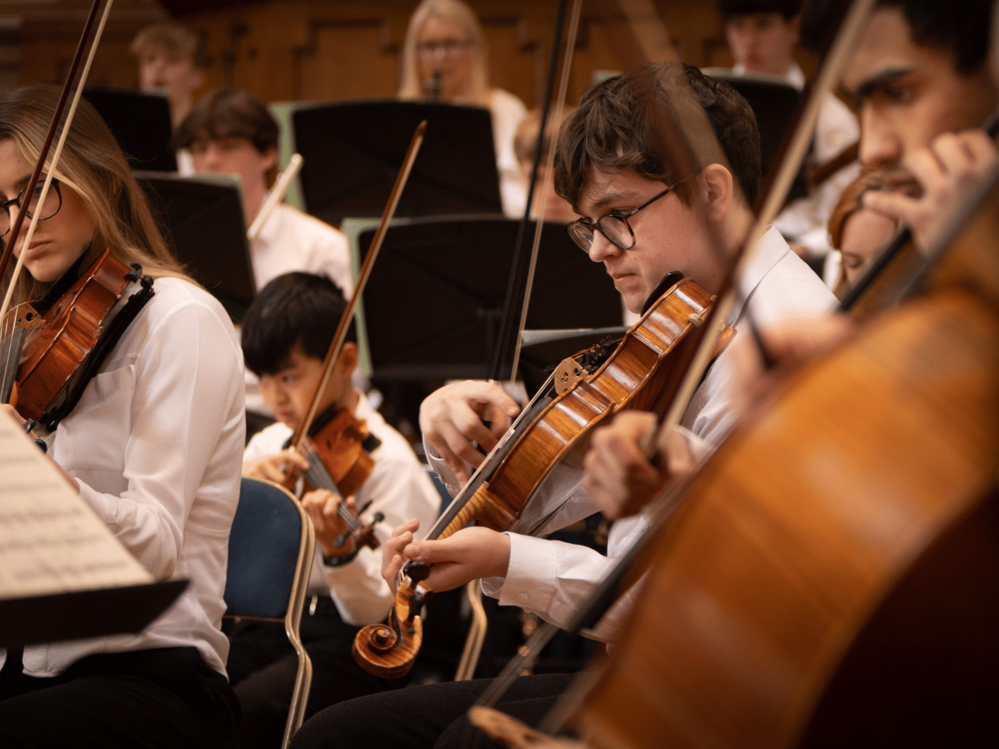 A close up of string sections in school orchestra