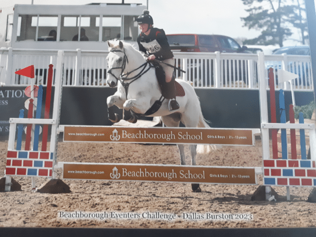 Girl on horse jumping over fence